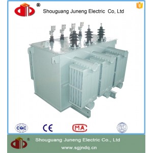 distribution voltage transformer for rural power grid